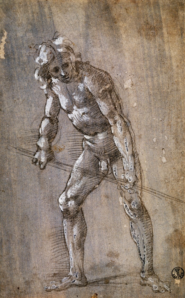 Manlig figur av Filippino Lippi