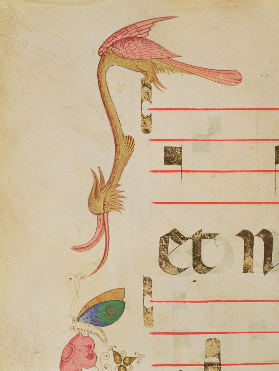 Missal 515 f.9r Fantastisk fågel som jagar en fjäril, detalj av dekorativ bård från en körbok utförd före 1449 av Filippo di Matteo Torelli