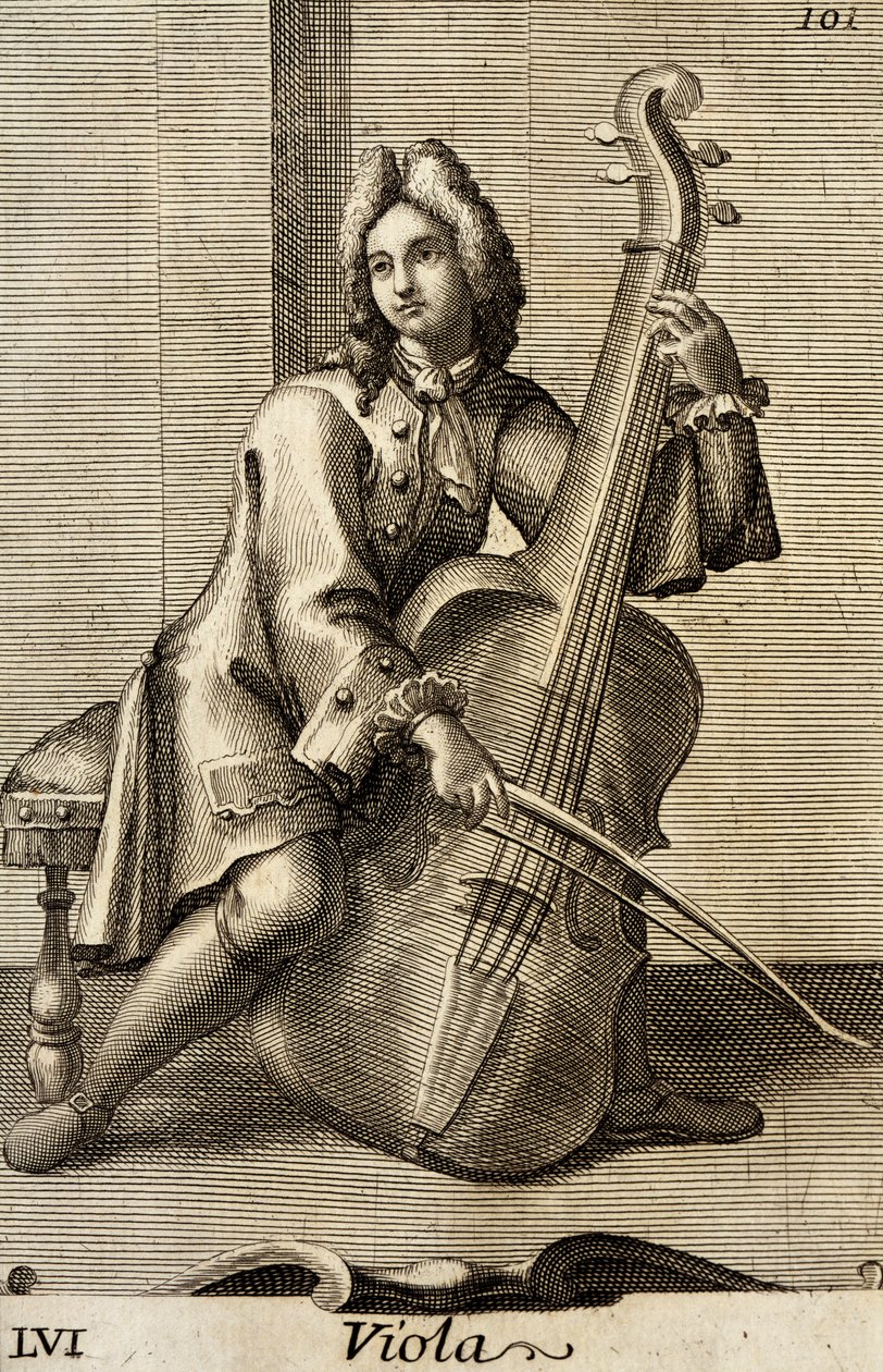Man spelar viola av Filippo Bonanni