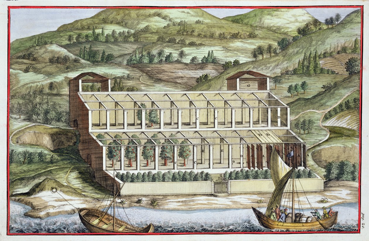 Strukturen av ett växthus, från "Hesperiderna" av Giovanni Battista Ferrari, graverad av Cammillo Congio (fl.1630), publicerad 1646. av Filippo Gagliardi