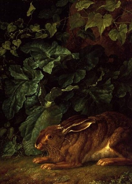 En hare i undervegetation av Filippo Hackert