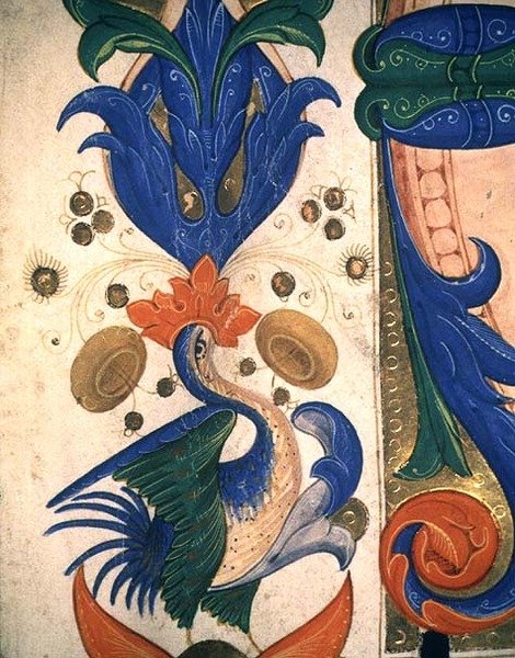 Missal 515 1r Zoomorf bladbård, detalj från en körbok utförd före 1449 (detalj av 88903) av Filippo di Matteo Torelli