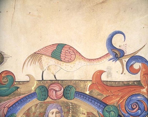 Missal 515 f.169r Fantastisk fågel, detalj av dekorationen kring en historisk initial från en körbok utförd före 1449 (vellum) (detalj av 56720) av Filippo di Matteo Torelli