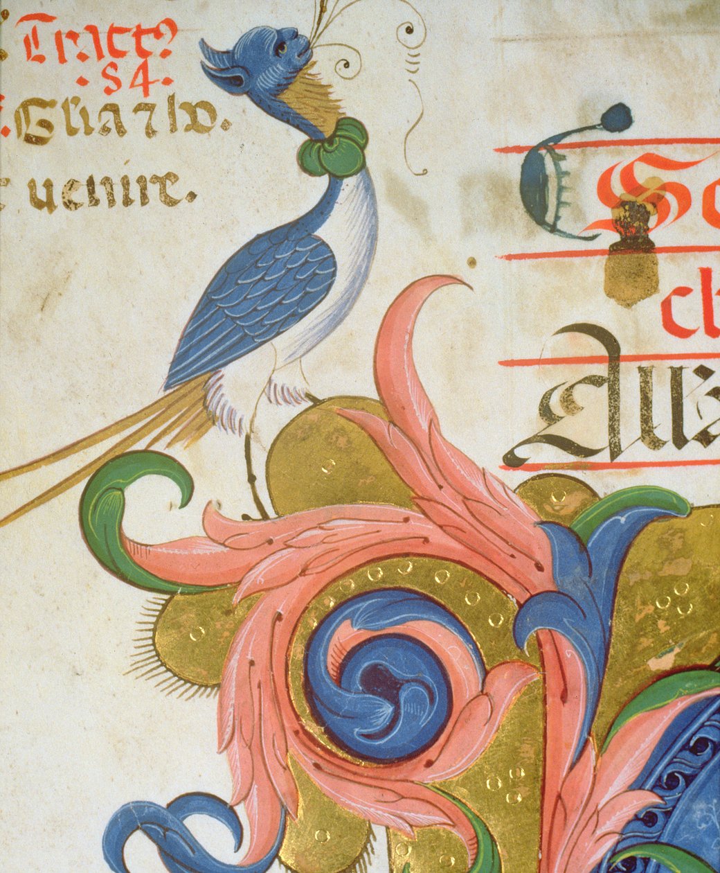Missal 515 f.28v Fantastisk fågel med människohuvud stående i hörnet av en historisk initial, detalj från en körbok utförd före 1449 velängdetalj av 56724 av Filippo di Matteo Torelli
