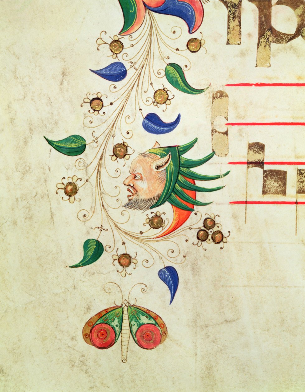Missal 515 f.72v Zoomorf bladbård, detalj från en körbok utförd före 1449 veläng av Filippo di Matteo Torelli