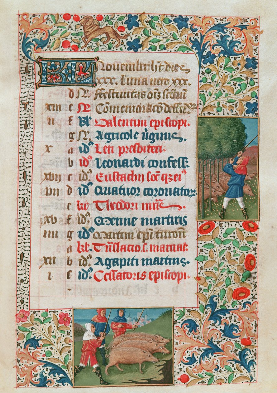 Kalender som visar november, ekollon och grisflockar av Flemish School