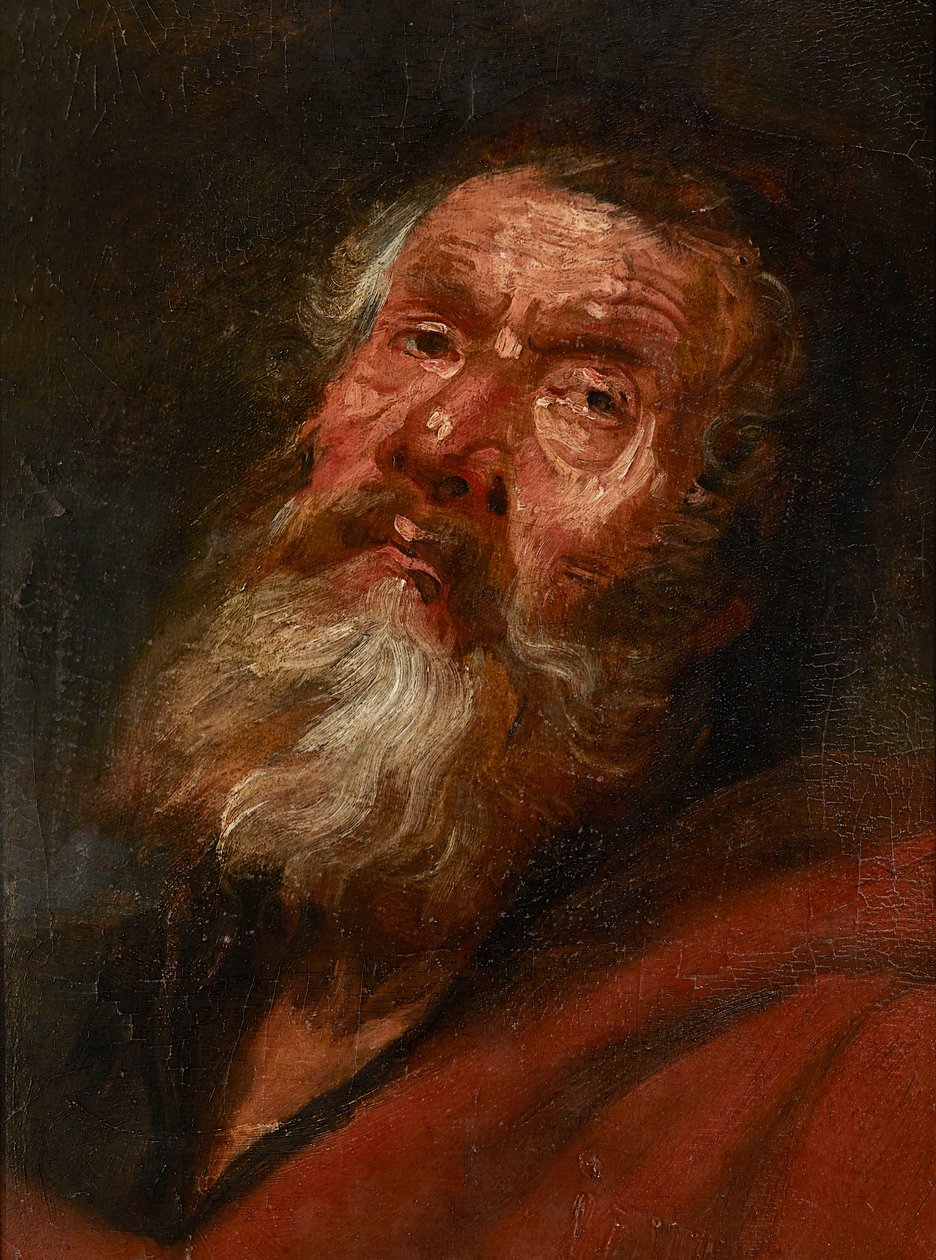 Huvudskiss av en apostel (olja på papper på duk, på ekpanel) av Flemish School