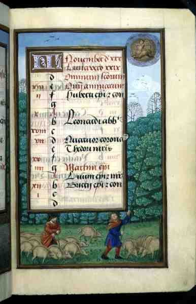 Ms 1058-1975 f.11r Herding Swine and Beating Oaks, upplyst kalendersida för november, från en timbok, c.1500 (vellum) av Flemish School