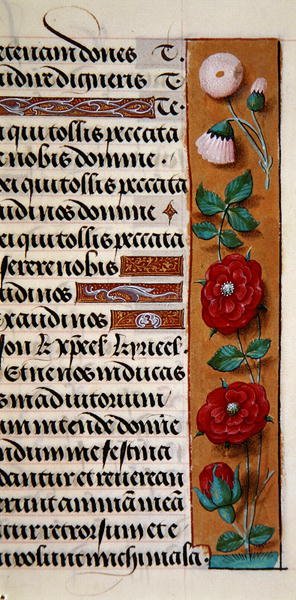 Ms. 1058-1975, f.120r: detalj av en blomkant från en timbok, ca 1500 (vellum) av Flemish School