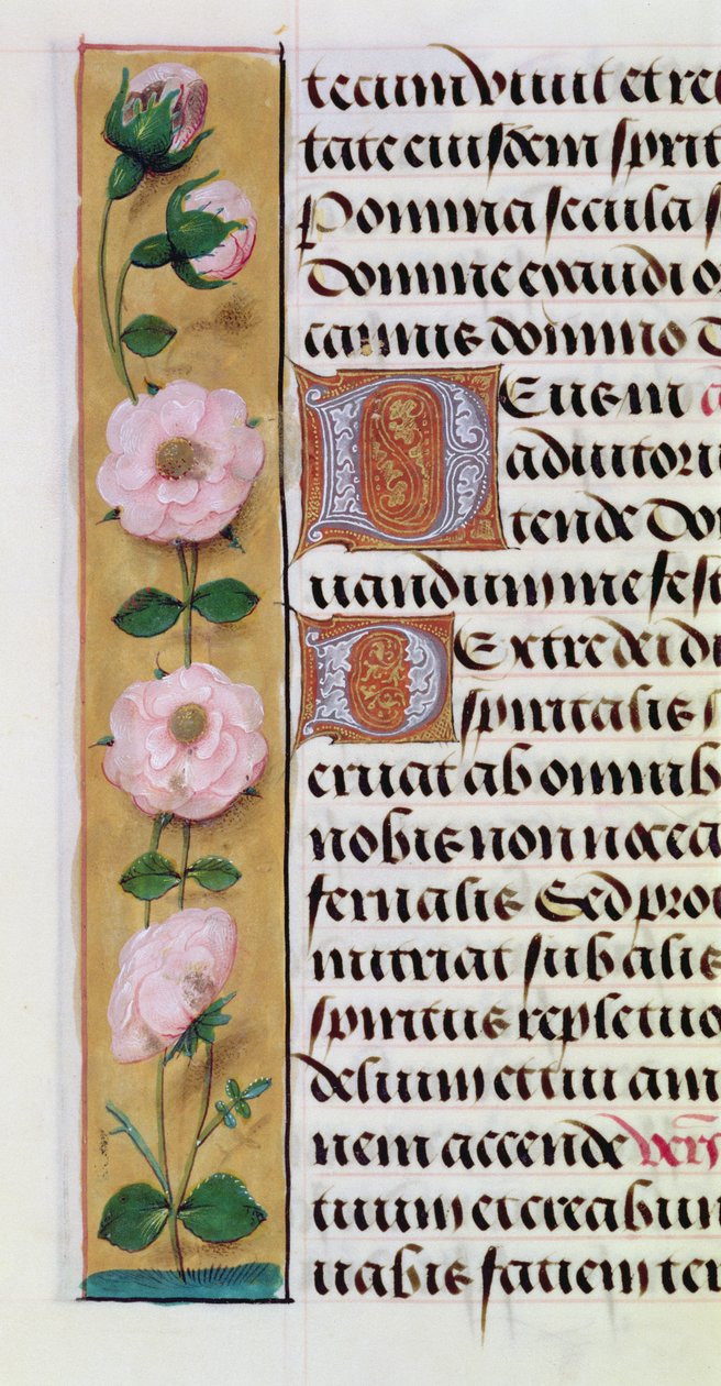 Ms. 1058-1975, f.34v: detalj av en blomsterbård från en timbok, ca 1500. av Flemish School