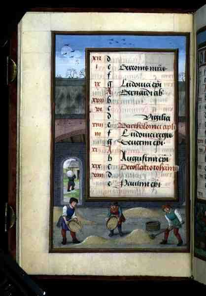 Ms 1058-1975 f8v Winnowing Corn in a Lada, upplyst kalendersida för augusti, från a Book of Hours, c.1500 (vellum) av Flemish School
