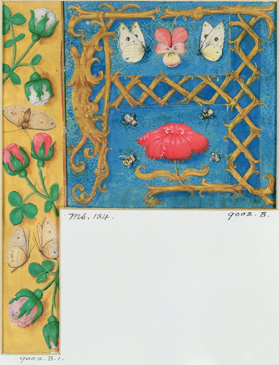Ms 134 Upplyst bokstav `A och sidokant av blommor, från en timbok, ca 1500 av Flemish School