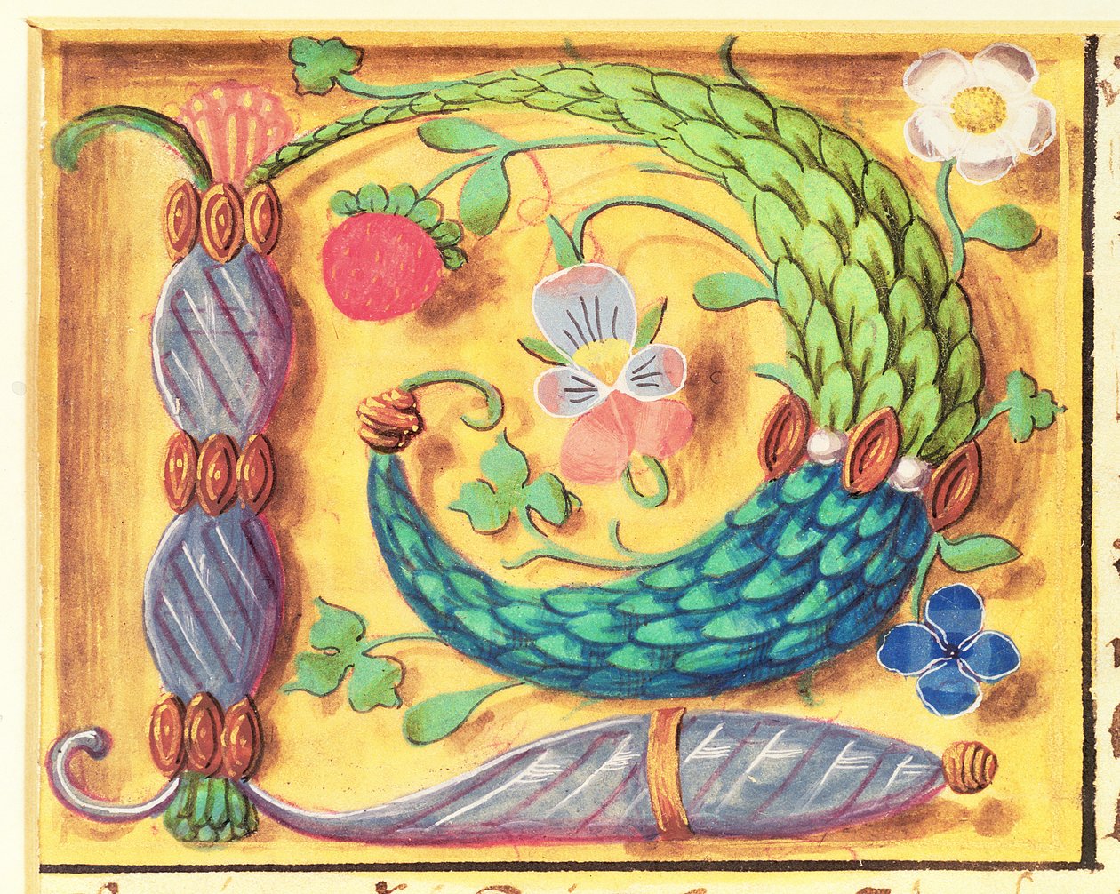 Ms 134 Upplyst bokstav `P dekorerad med blommor, från en timbok, ca 1500 av Flemish School