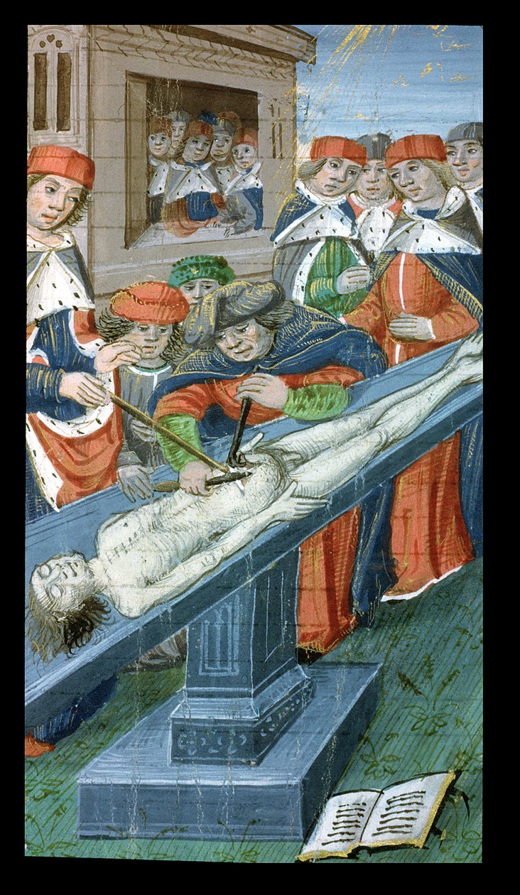 Ms Hunter 9 10r Dissection, från De Medina Fen I. II, av Avicenna (980-1037) av Flemish School
