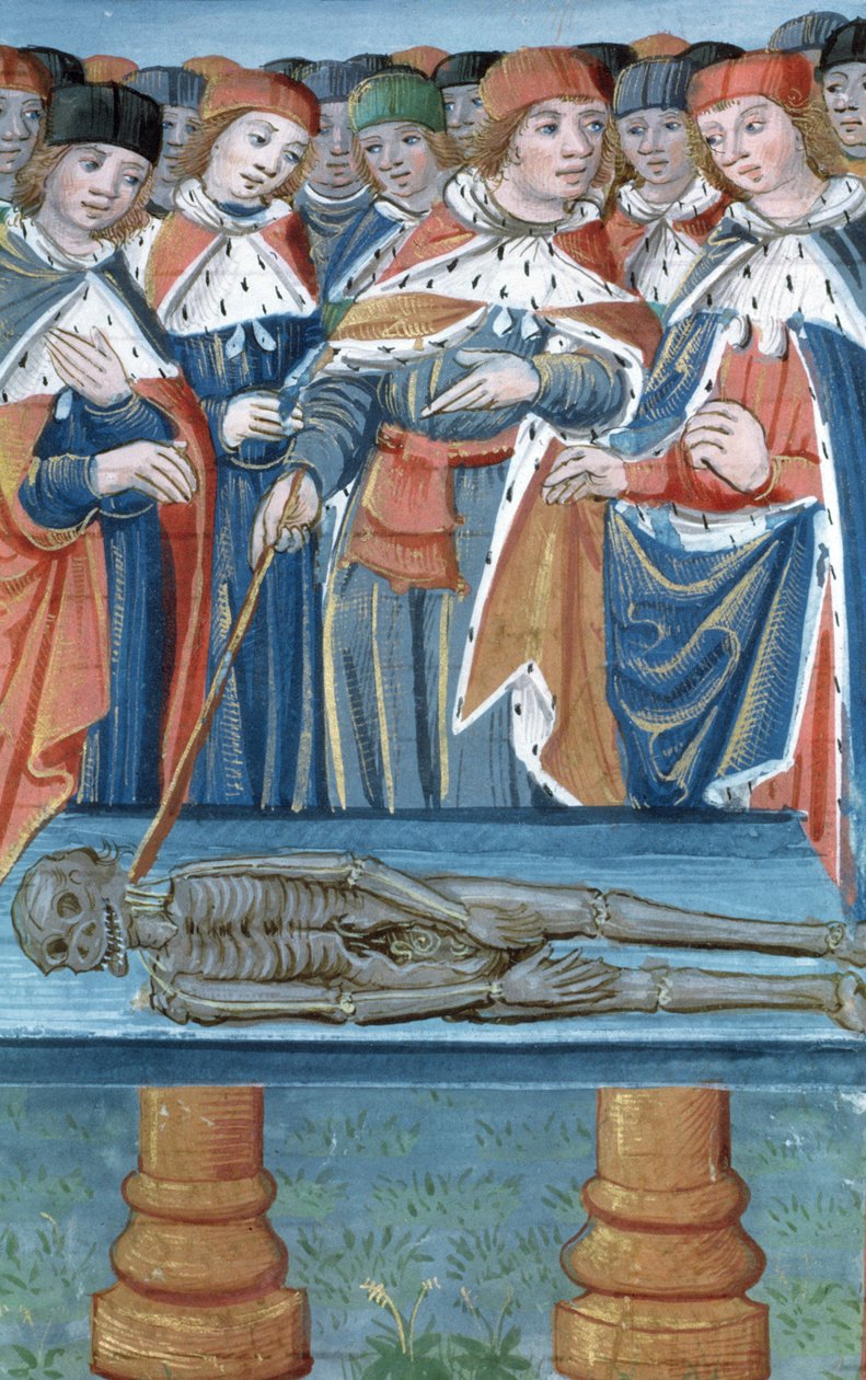 Ms Hunter 9 30v Dissection, från De Medina Fen I. II, av Avicenna (980-1037) av Flemish School