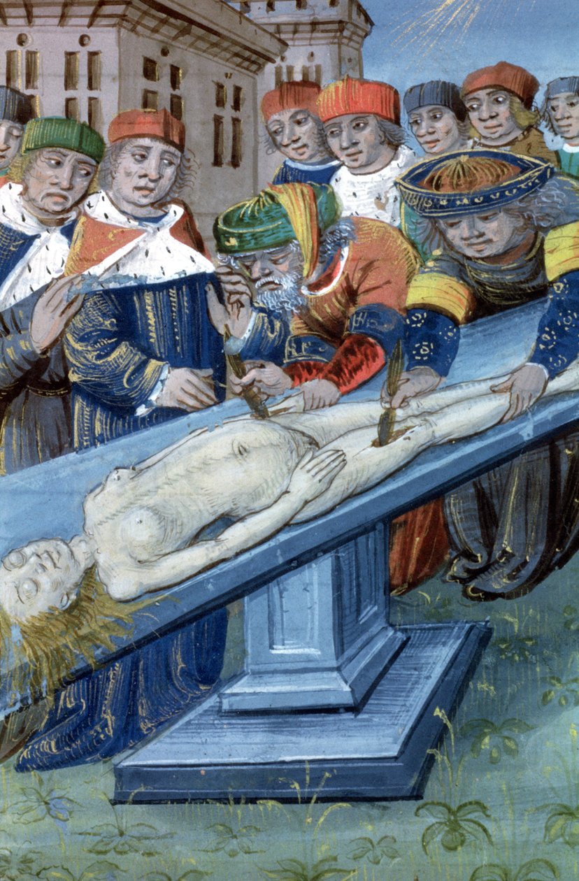 Ms Hunter 9 f.22r Dissection, från De Medina Fen I. II, av Avicenna (980-1037) av Flemish School