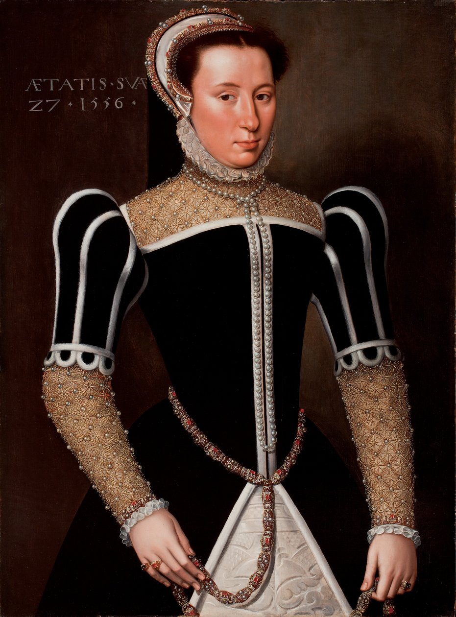 Portrait of a Woman, 1556  av Flemish School