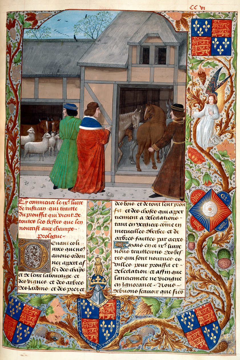 Royal 14 E. VI, f.215, Författare med hästar och får, från 
