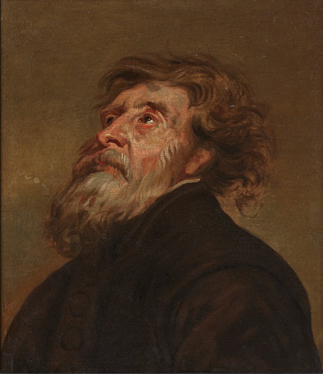 Studie av en man (olja på duk) av Flemish School
