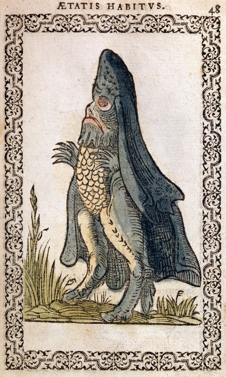 Sjöbiskopen eller sjömonstret, illustration från The Habits and Portraits of Almost All Nations and Contemporary Nations av Jean Sluperji, Antwerpen, 1572 (träsnitt i färg) av Flemish School