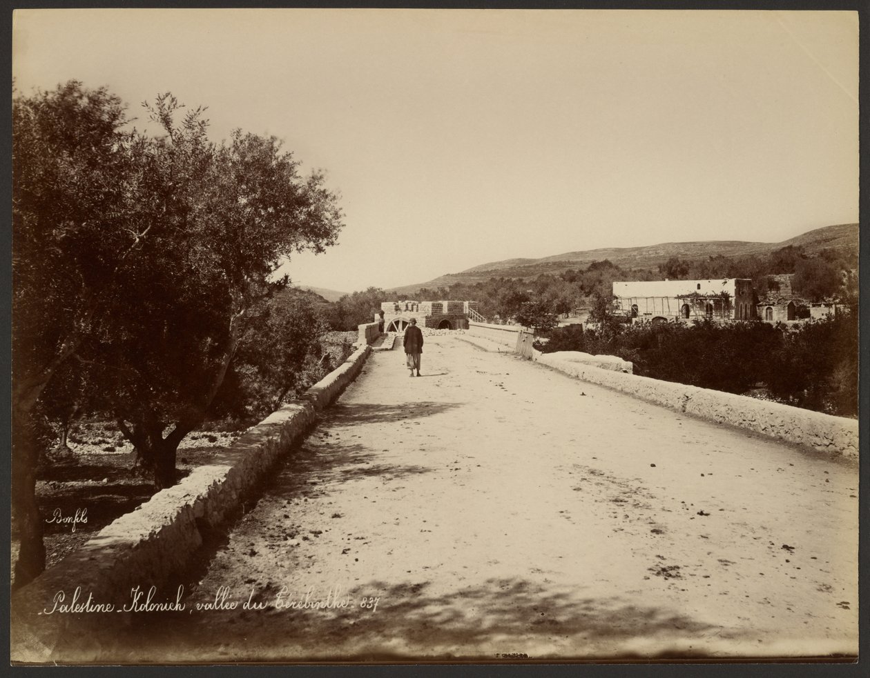 Palestina - Kolonick, Terebinth Valley av Félix Bonfils