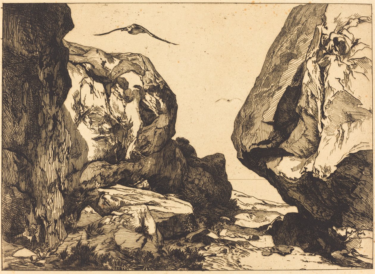 Gorge in the Rocks av Félix Bracquemond after Jules Laurens