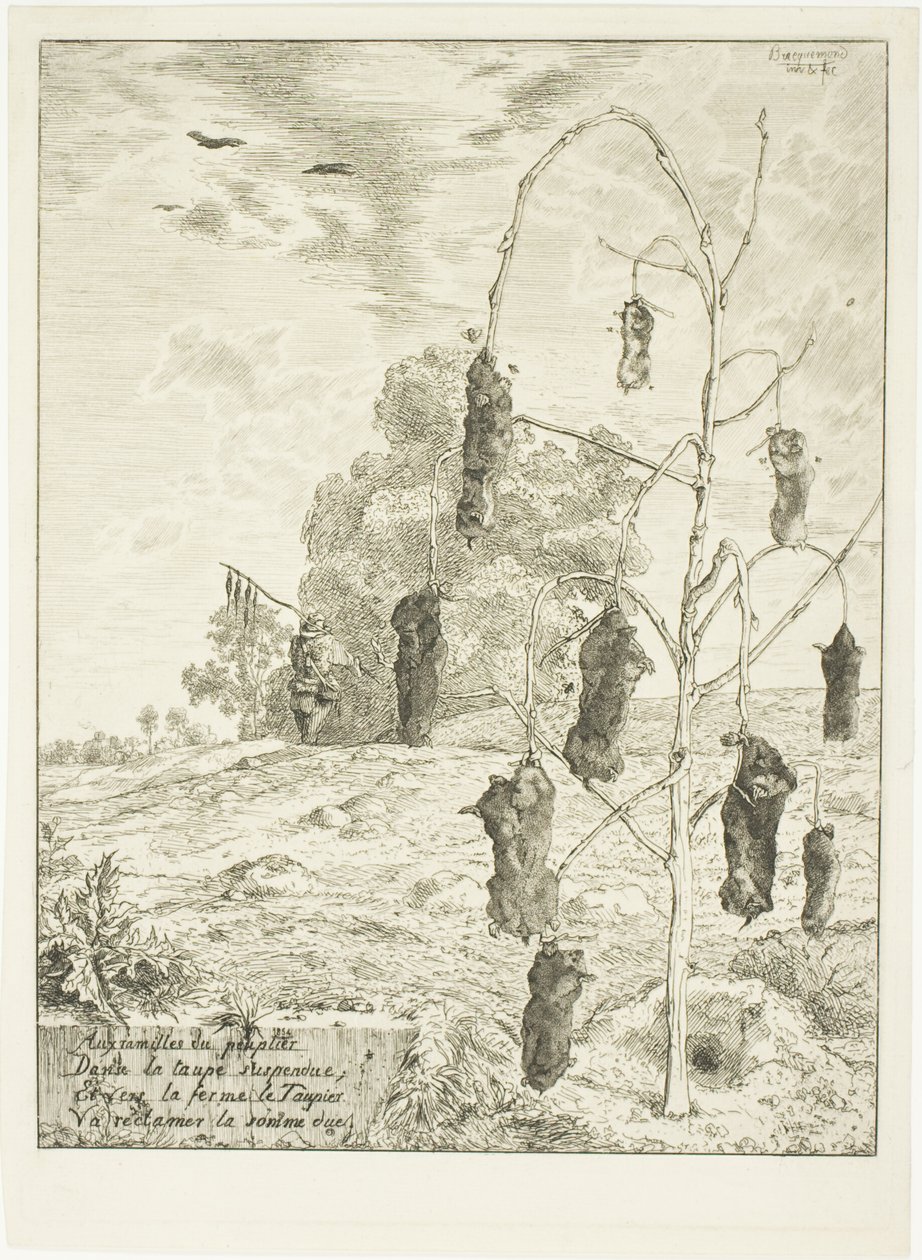 Mullvadar av Félix Henri Bracquemond