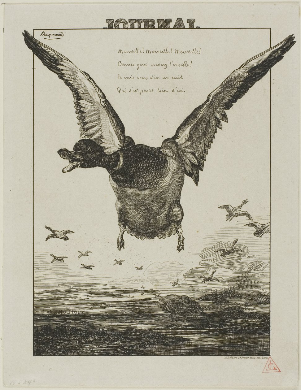 Ankan av Félix Henri Bracquemond