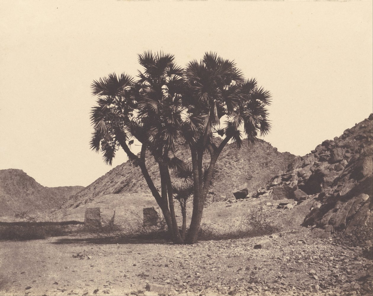 Egypten och Nubien. Platser och monument ... Atlasfotograf ... Del två. Nubia av Félix Teynard