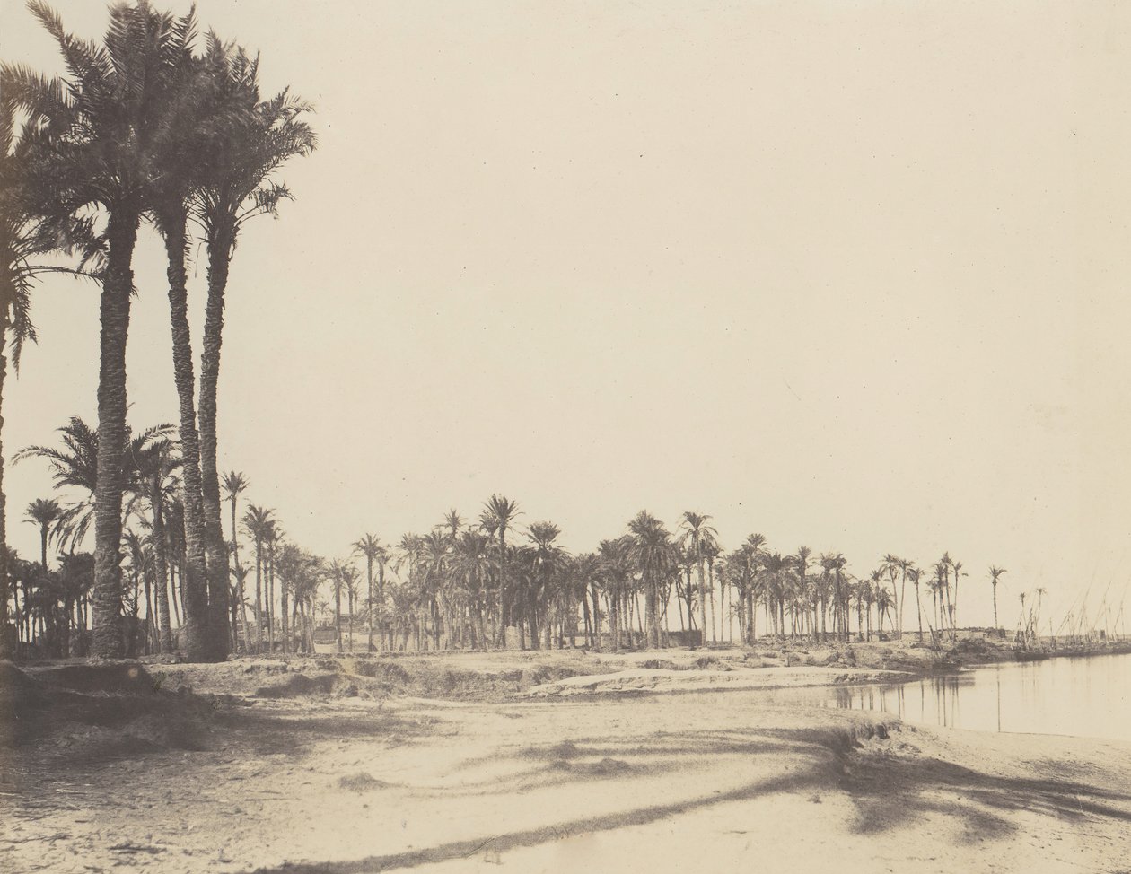 El-Nâcérah, Dattiers, Rives du Nil et Barques, 1851-52, tryckt 1853-54. av Félix Teynard