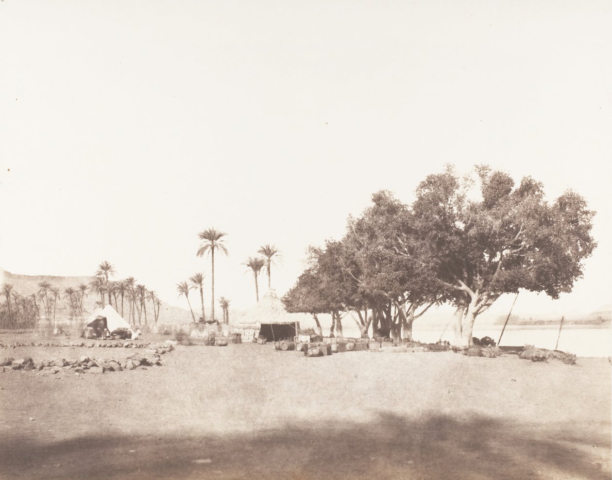 Korósko, Sycomores och en campment of a caravan for the Sennâr, 1851-52, tryckt 1853-54. av Félix Teynard