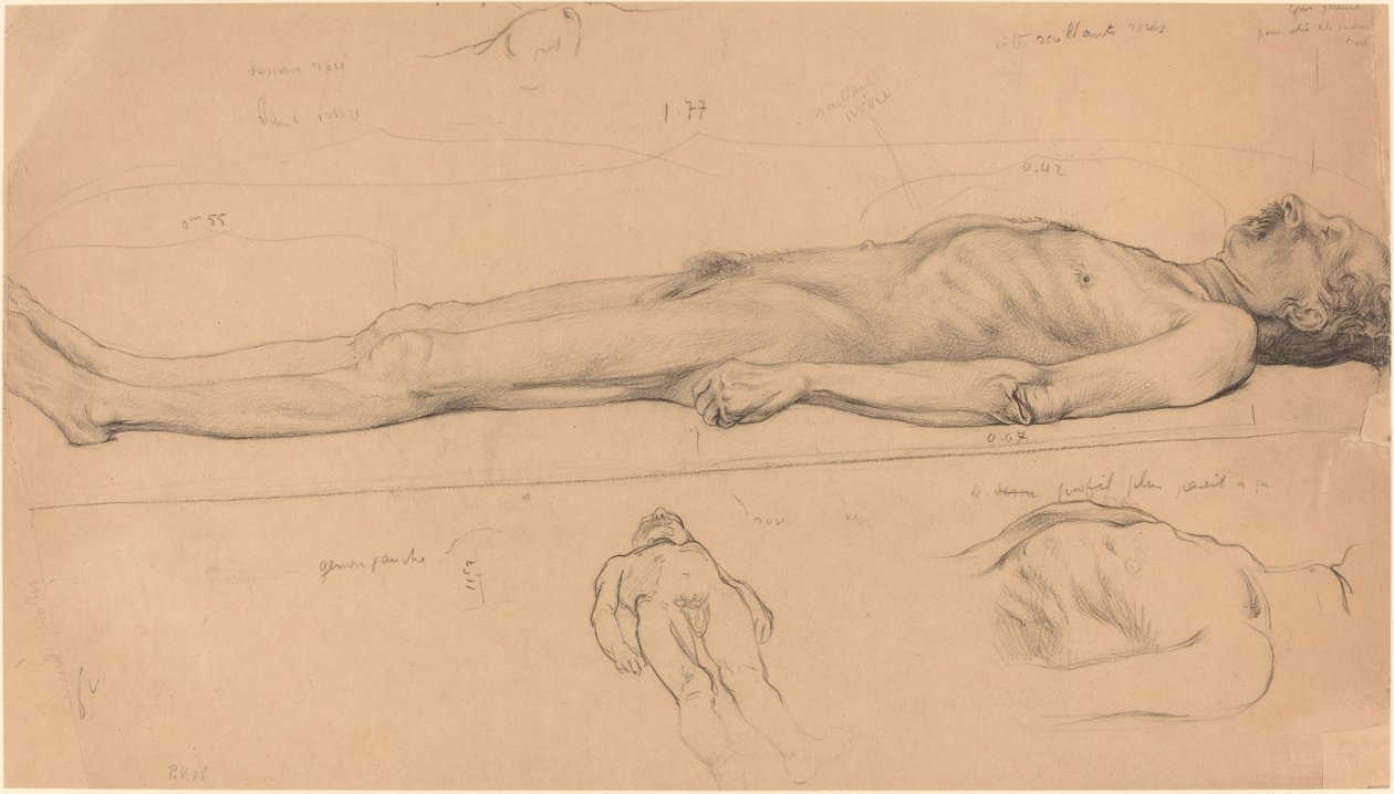 The Corpse Study for The Dead Christ, 1893. av Félix Vallotton