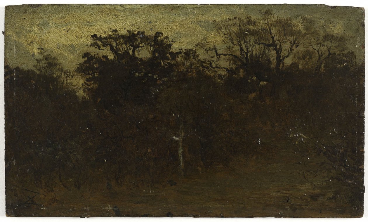 Skogshörnan, mellan 1850 och 1860 (olja på trä) av Félix Ziem