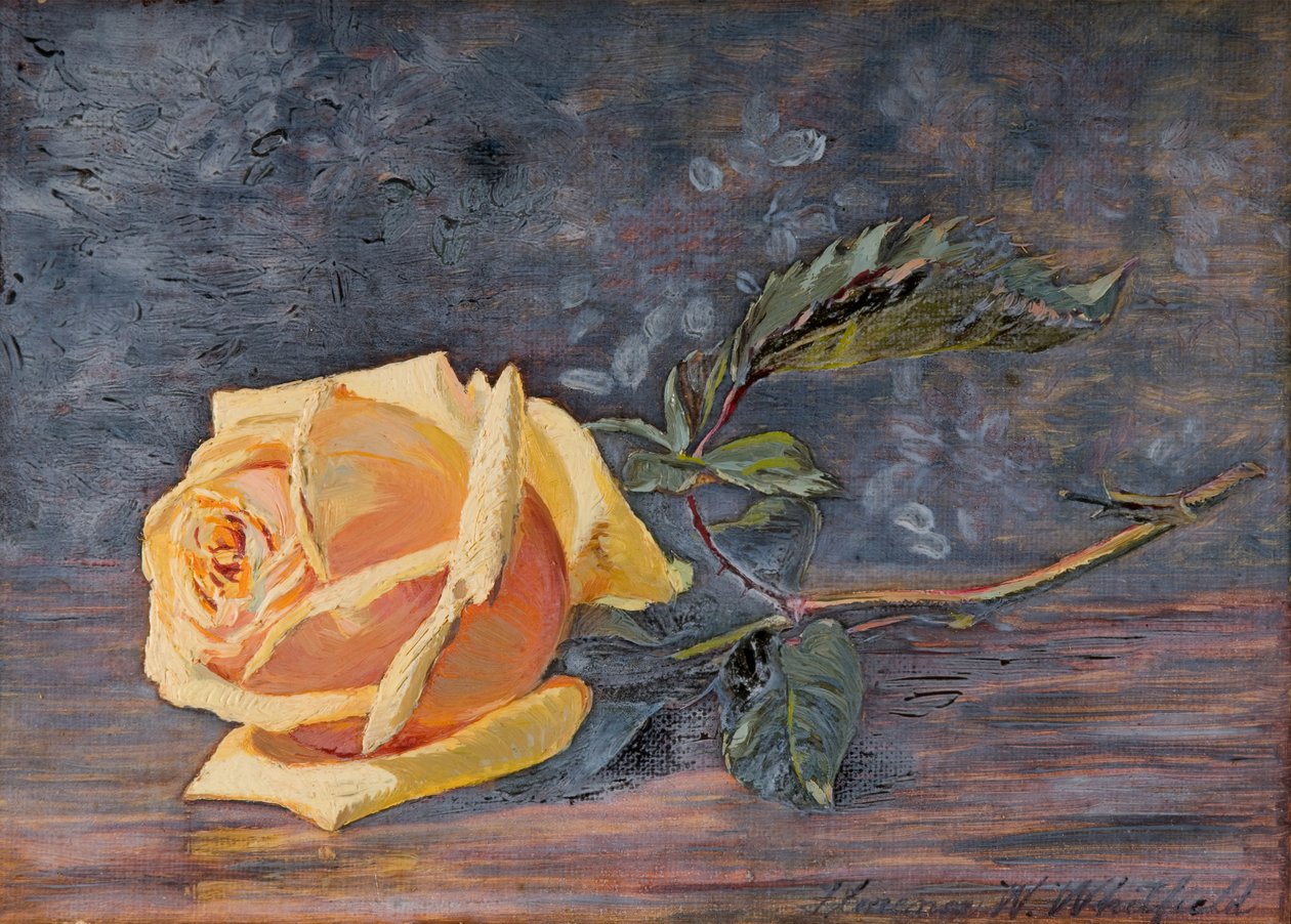 Gul ros, 1887. av Florence Westwood Whitfield