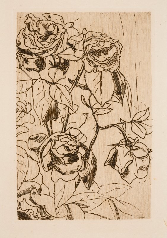 Study of roses av Floris Verster