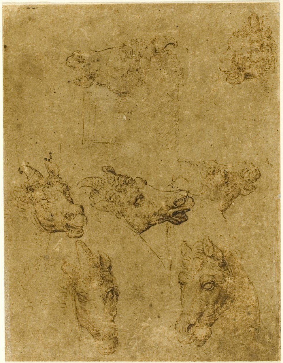 Huvuden av hästar och enhörningar av Follower of Leonardo da Vinci