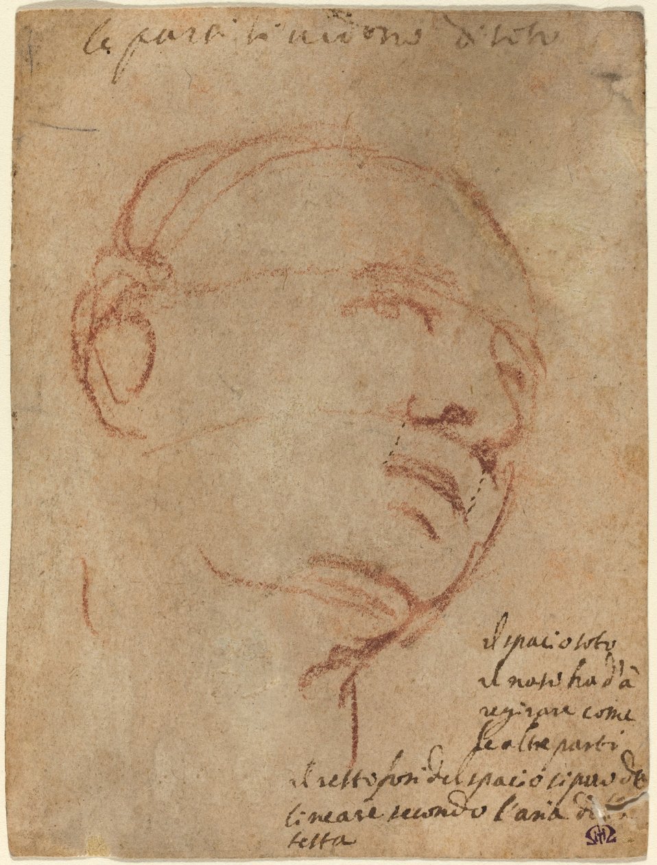 Chef för en man av Follower of Michelangelo
