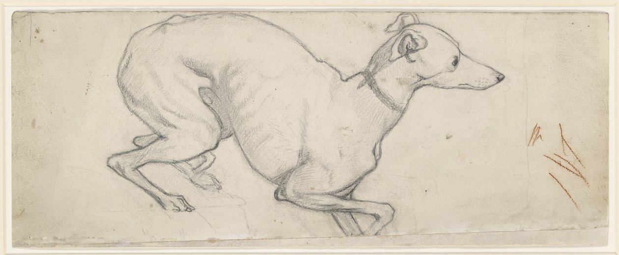 Studie av en vinthund (grafit på off-white papper) av Ford Madox Brown