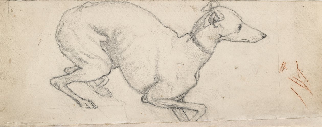 Studie av en vinthund, mitten av 1800-talet av Ford Madox Brown