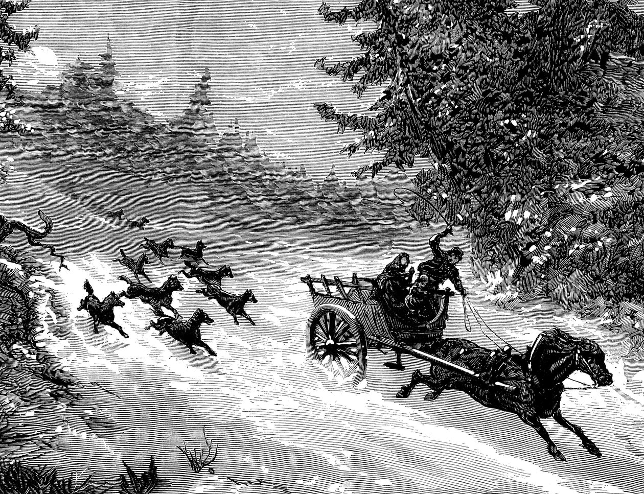 Rädslan för vargen: En flock vargar förföljer en vagn med tre personer, dragen av en häst som springer iväg i snön, i en skog i Ardennerna - gravyr av Meaulle i "The Illustrous Universe" nr 918, januari 1872 - av Fortune Louis Meaulle