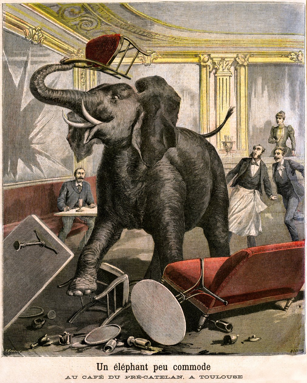En obekväm elefant: häckhuden flyr från ett cirkusmenageri slår sönder allt i caféet Pre-Catelan i Toulouse. Gravyr av Meaulle och Meyer i sista omslaget till PETIT JOURNAL-bilagan illustrerad n 51 den 14 november av Fortune Louis and Meyer Henri  Meaulle