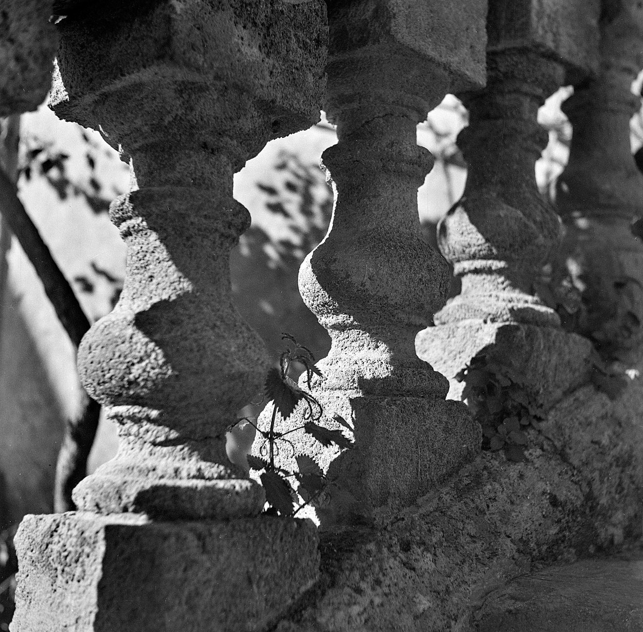 Detalj av en balustrad på Villa Bonocore Maletto Palermo av Fosco Maraini