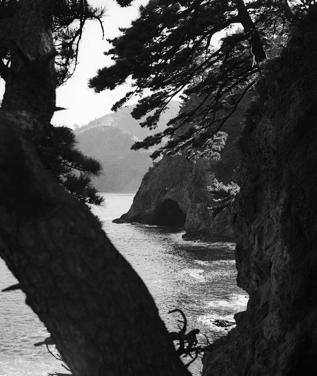 Japanska kusten vid Stilla havet nära Atami av Fosco Maraini