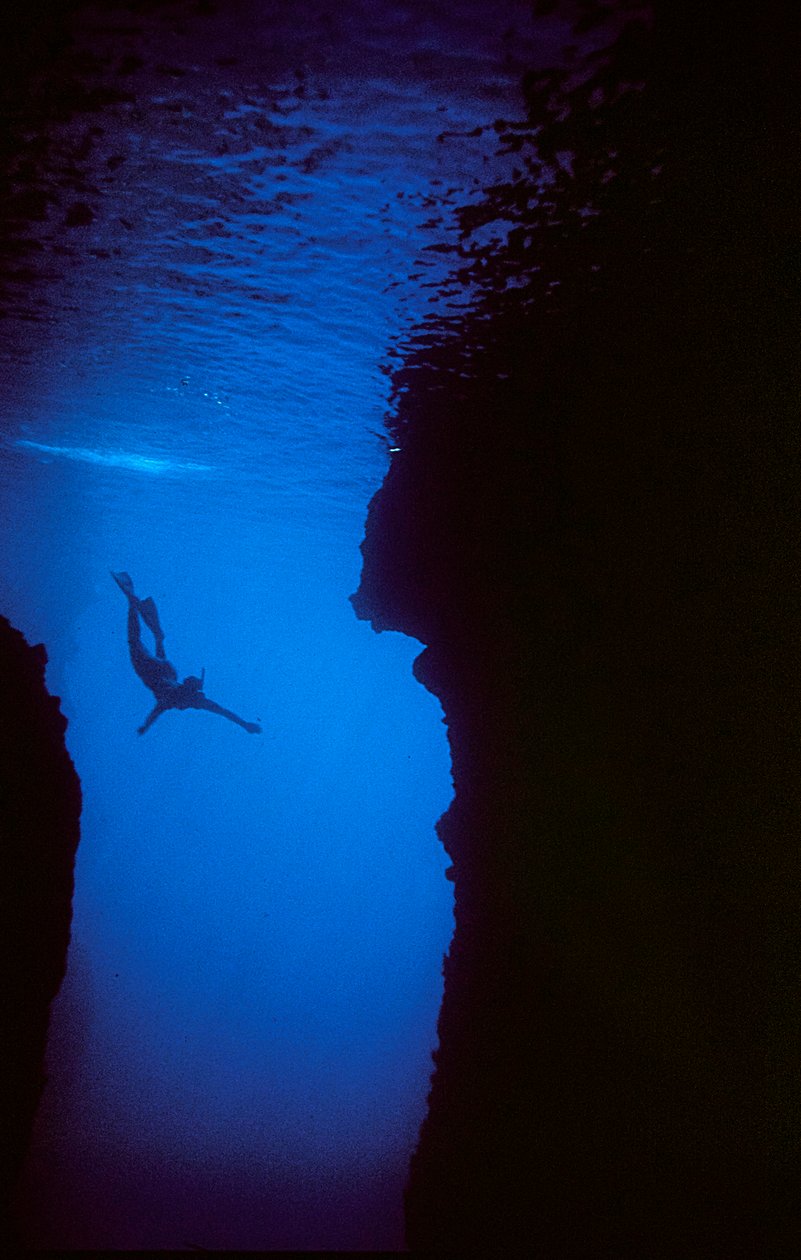 Simmare i en grotta på Zakynthos, Grekland av Fosco Maraini