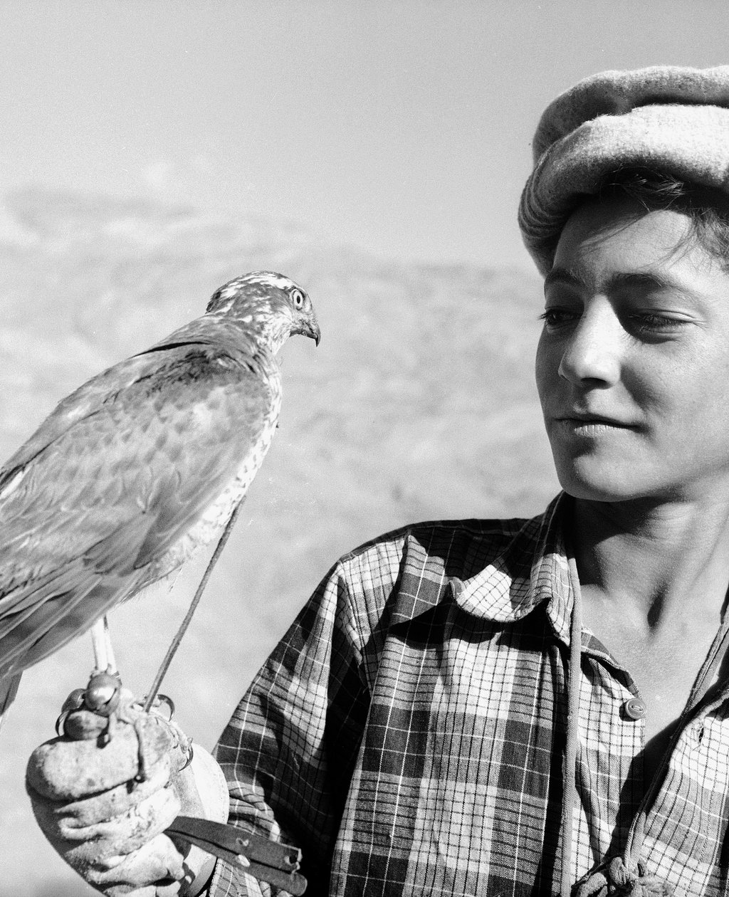Ung falkfångare i Chitral på Hindu-Kush, ett berg i Centralasien av Fosco Maraini