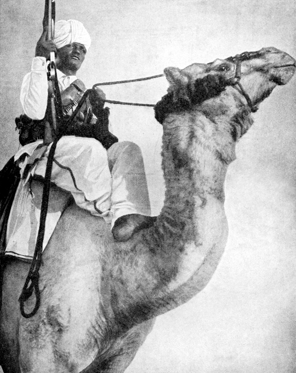 Afrikas ökenkrigare, 1936. av Fox Photos