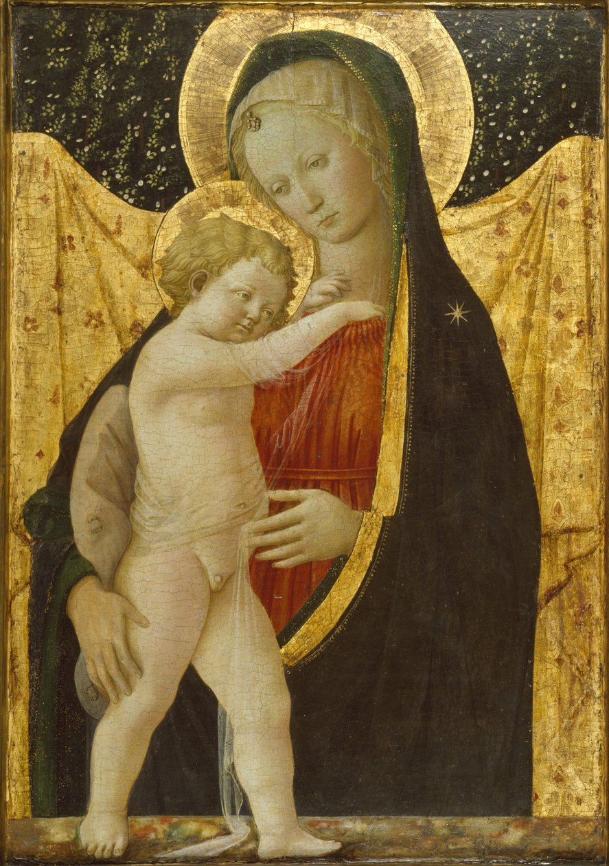 Madonna och barn, ca 1446-47 (tempera & guld på panel) av Fra Filippo Lippi