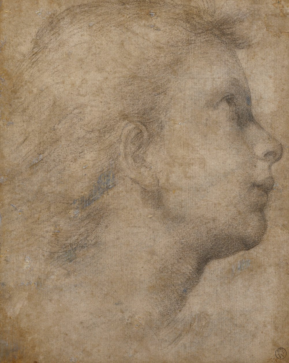 Huvudet för en ängel i profil tittar upp till höger, av Fra Bartolomeo