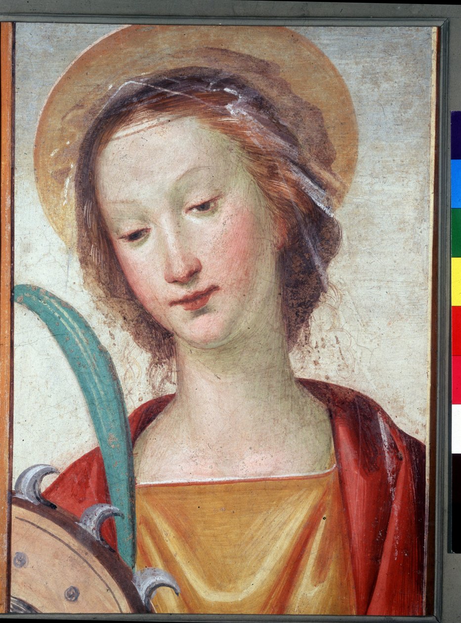 Okänd bild av Fra Bartolomeo