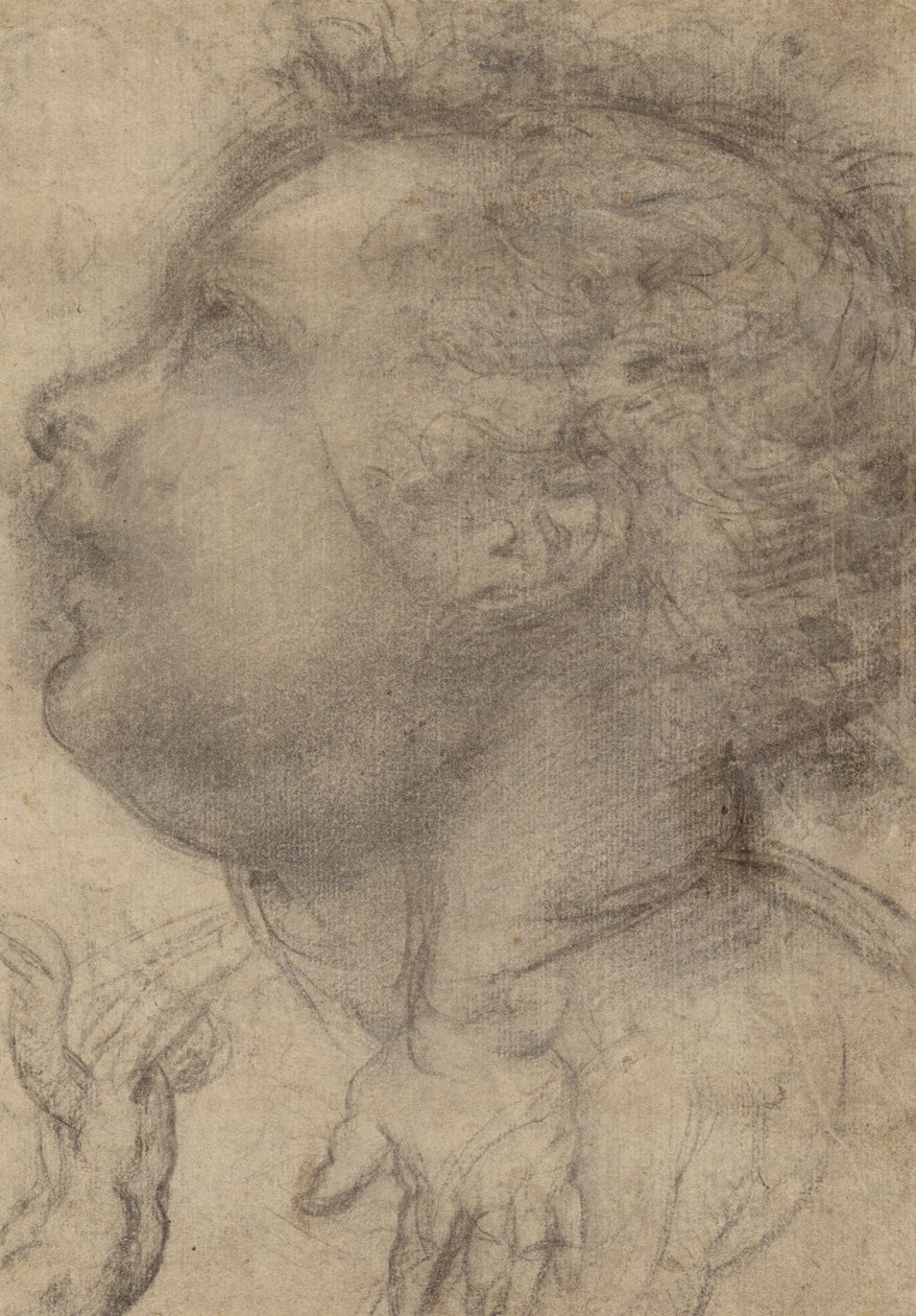 Huvud av ett barn, en ängel och en hand (recto); mansfigur (verso) av Fra Bartolommeo (Baccio della Porta)